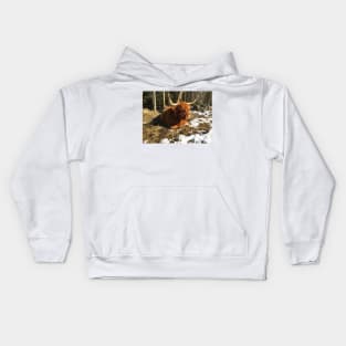 Scottish Highland Cattle Cow 2343 Kids Hoodie